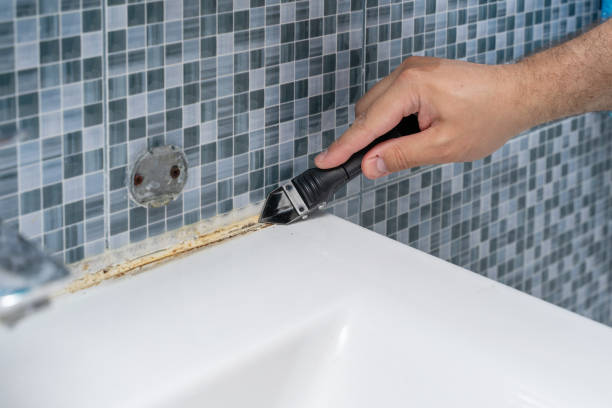 Best Mold Remediation  in Galena, OH