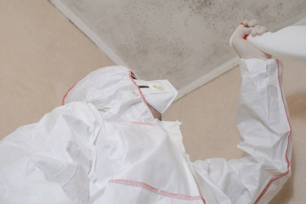 Best Toxic Mold Removal  in Galena, OH