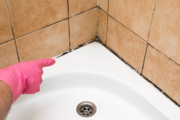 Best Toxic Mold Removal  in Galena, OH